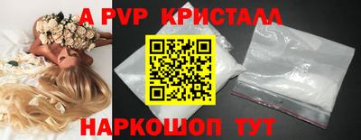 СК Будённовск