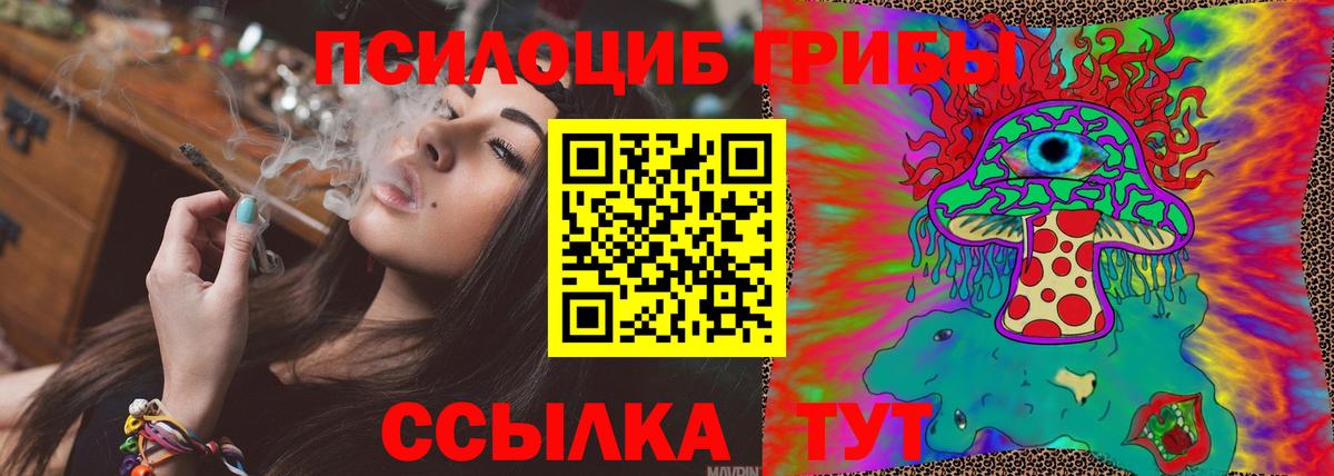 Псилоцибиновые грибы Psilocybine cubensis Тулун